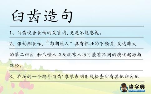 臼齒造句
