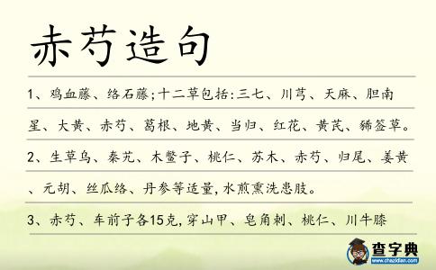 赤芍造句