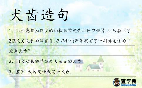 犬齒造句