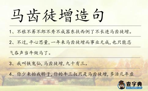 馬齒徒增造句