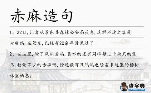 赤麻造句