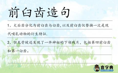 前臼齒造句