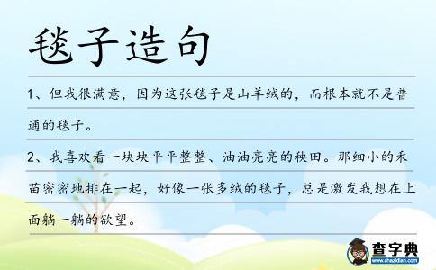 毯子造句