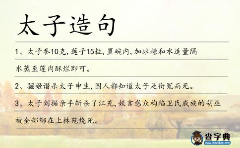 太子造句