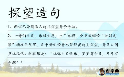 探望造句