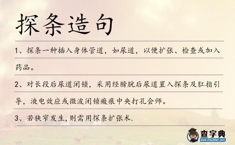 探條造句