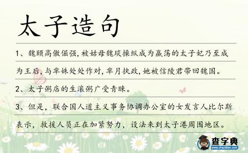 太子造句