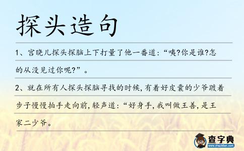 探頭造句