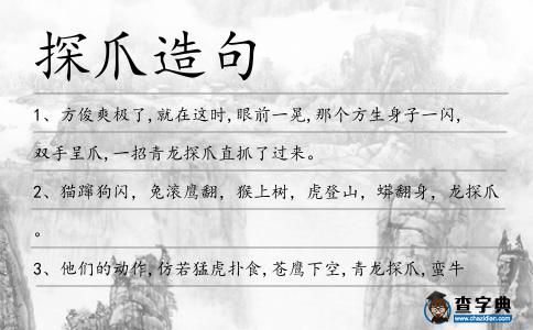 探爪造句