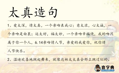 太真造句