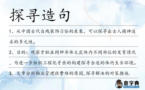 探尋造句
