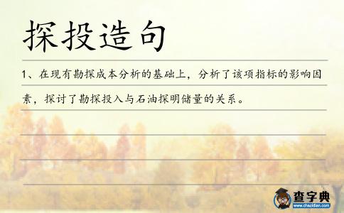 探投造句