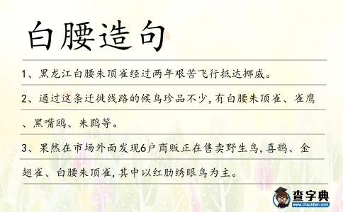 白腰造句