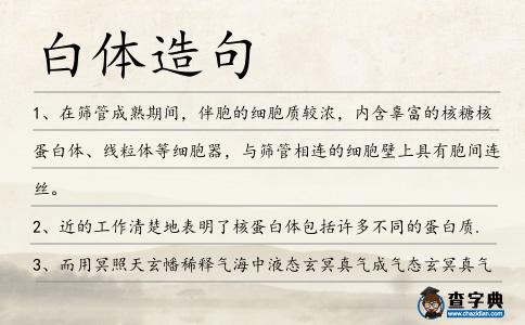 白體造句