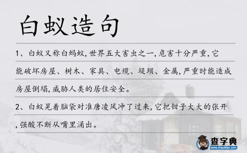 白蟻造句