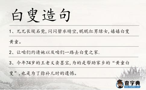 白叟造句