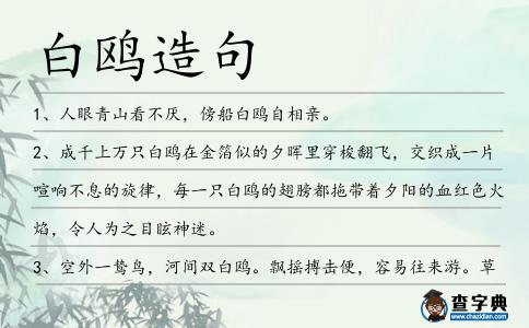 白鷗造句