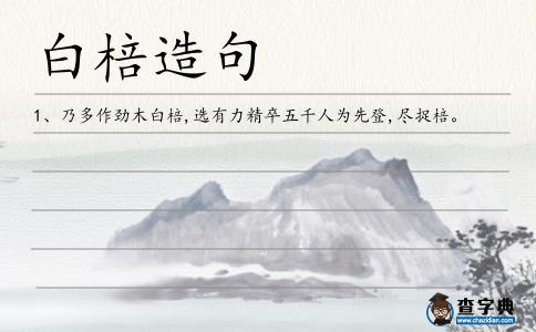 白棓造句