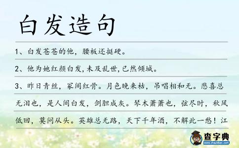 白發造句