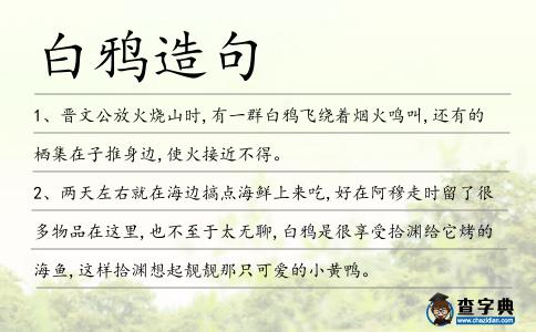白鴉造句