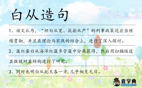 白從造句