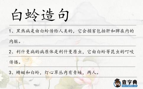 白蛉造句