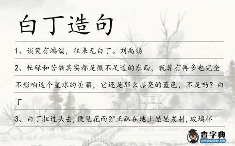 白丁造句