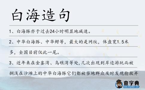 白海造句