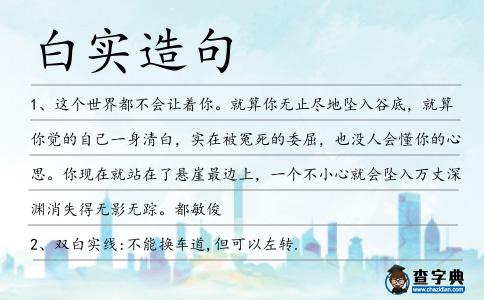 白實(shí)造句