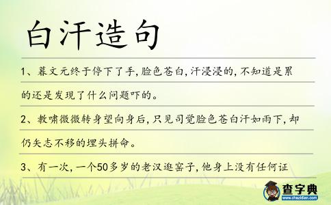白汗造句
