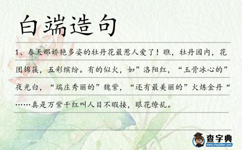 白端造句