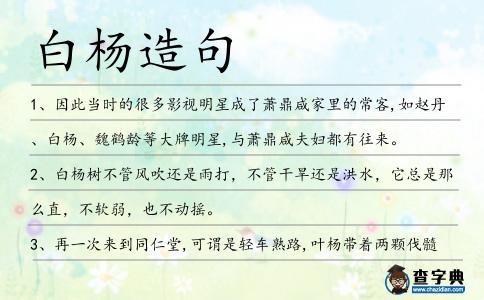 白楊造句