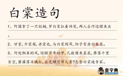 白棠造句