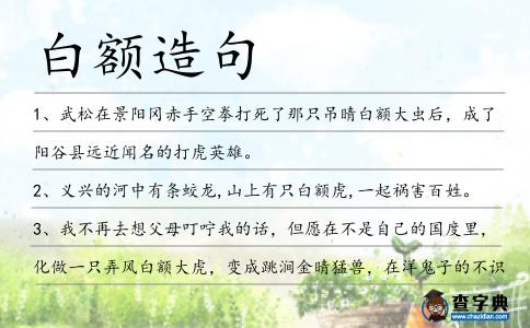 白額造句