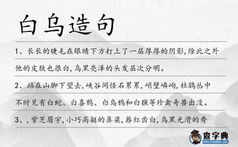 白烏造句