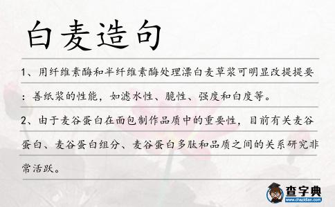 白麥造句