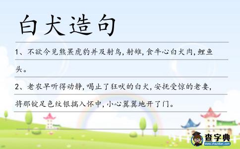 白犬造句