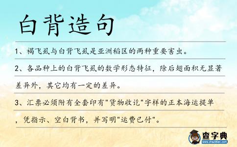 白背造句