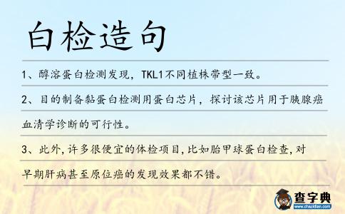 白檢造句