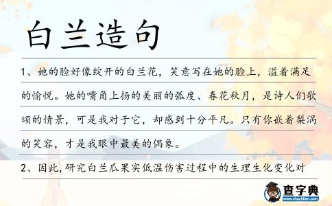 白蘭造句