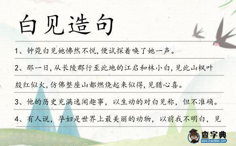 白見造句