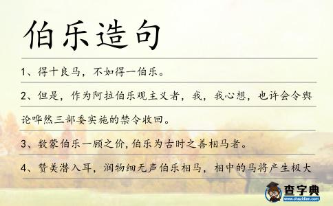 伯樂造句