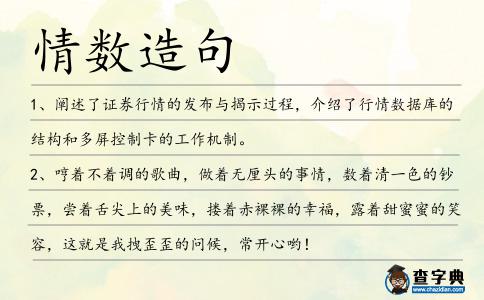 情數造句
