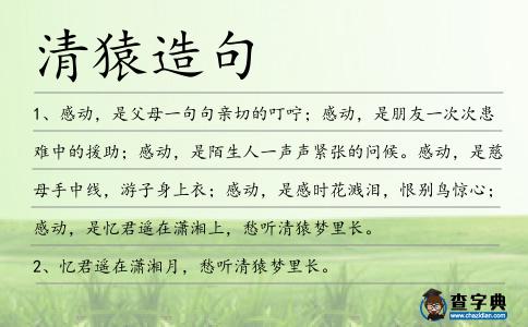 清猿造句