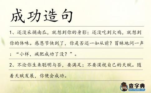 成功造句