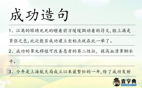 成功造句