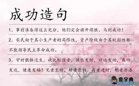 成功造句