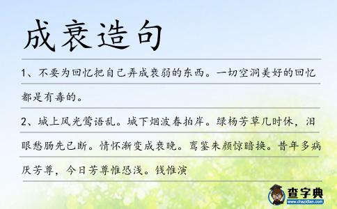 成衰造句