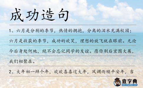 成功造句