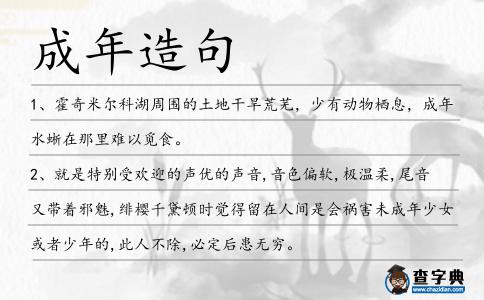 成年造句